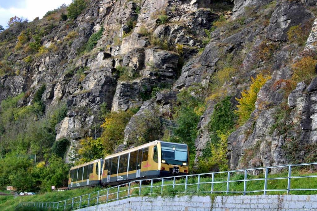 AggsbachHaus-Donau In Der Wachauアパートメント エクステリア 写真