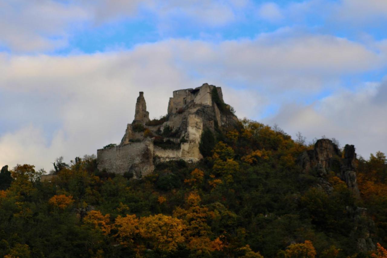 AggsbachHaus-Donau In Der Wachauアパートメント エクステリア 写真