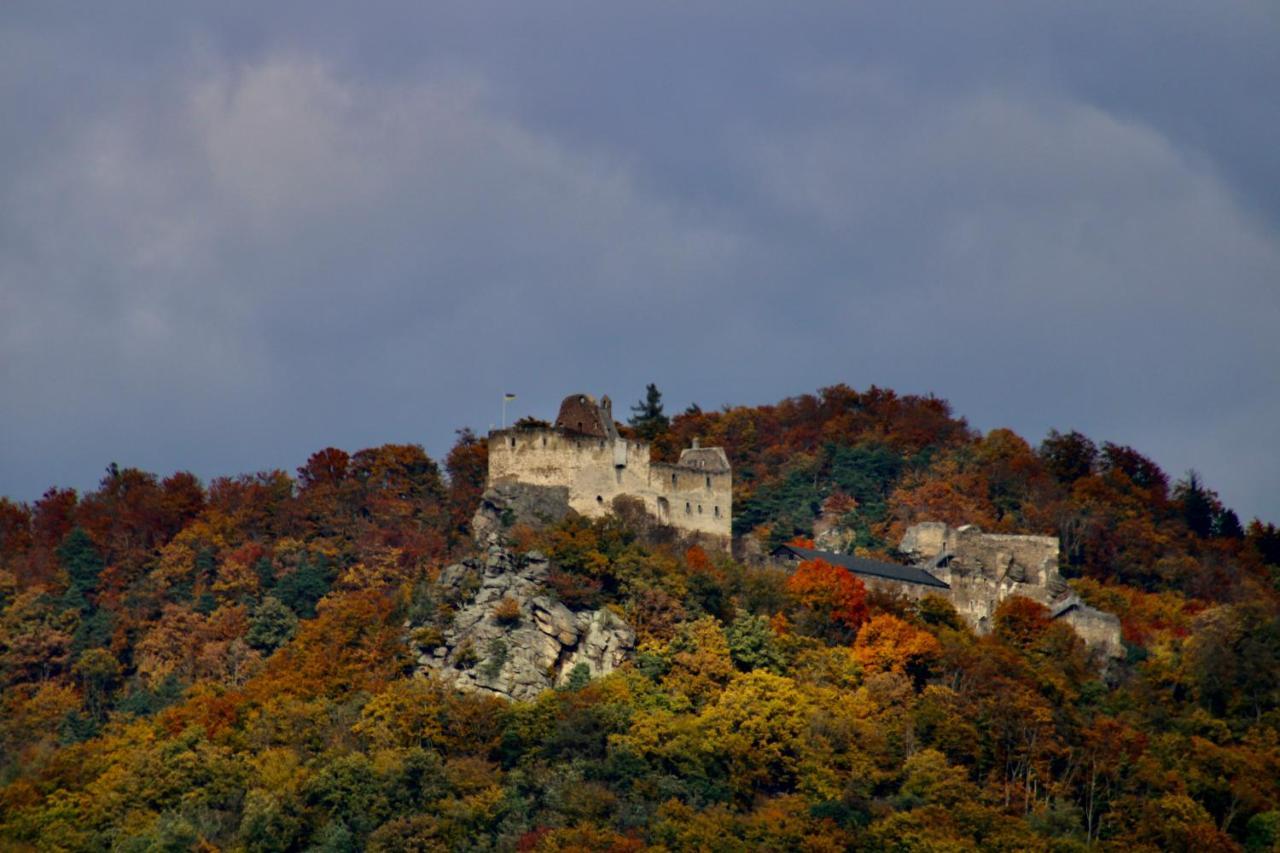 AggsbachHaus-Donau In Der Wachauアパートメント エクステリア 写真