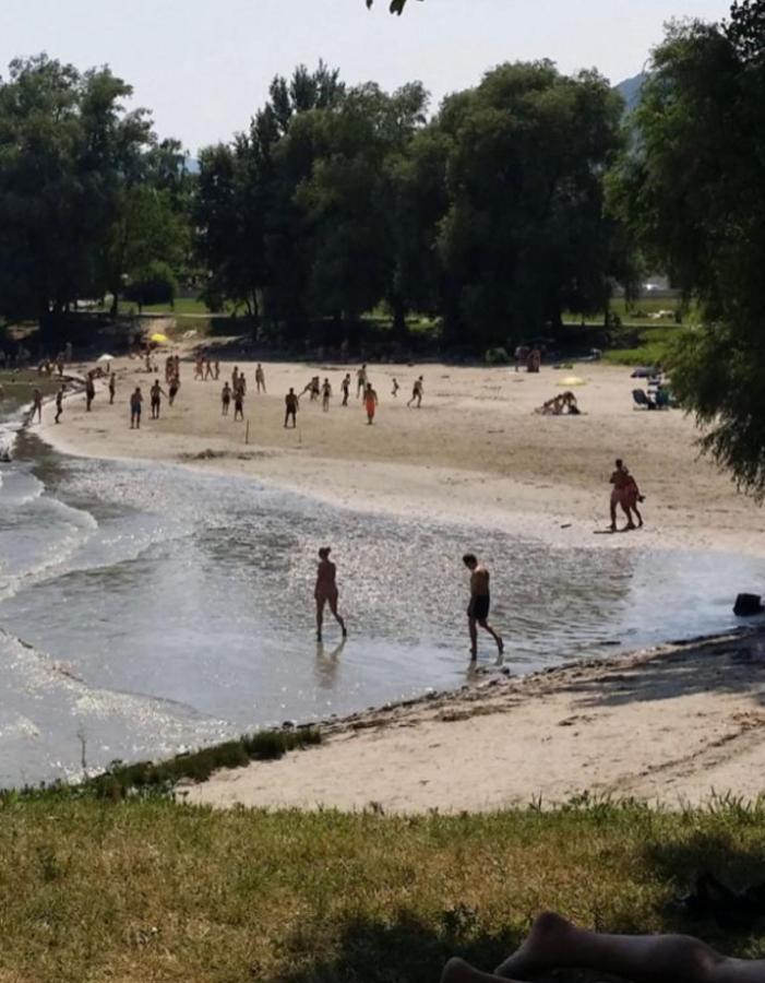 AggsbachHaus-Donau In Der Wachauアパートメント エクステリア 写真